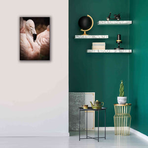 'Chilean Flamingo II' by Debra Van Swearingen, Canvas Wall Art,18 x 26