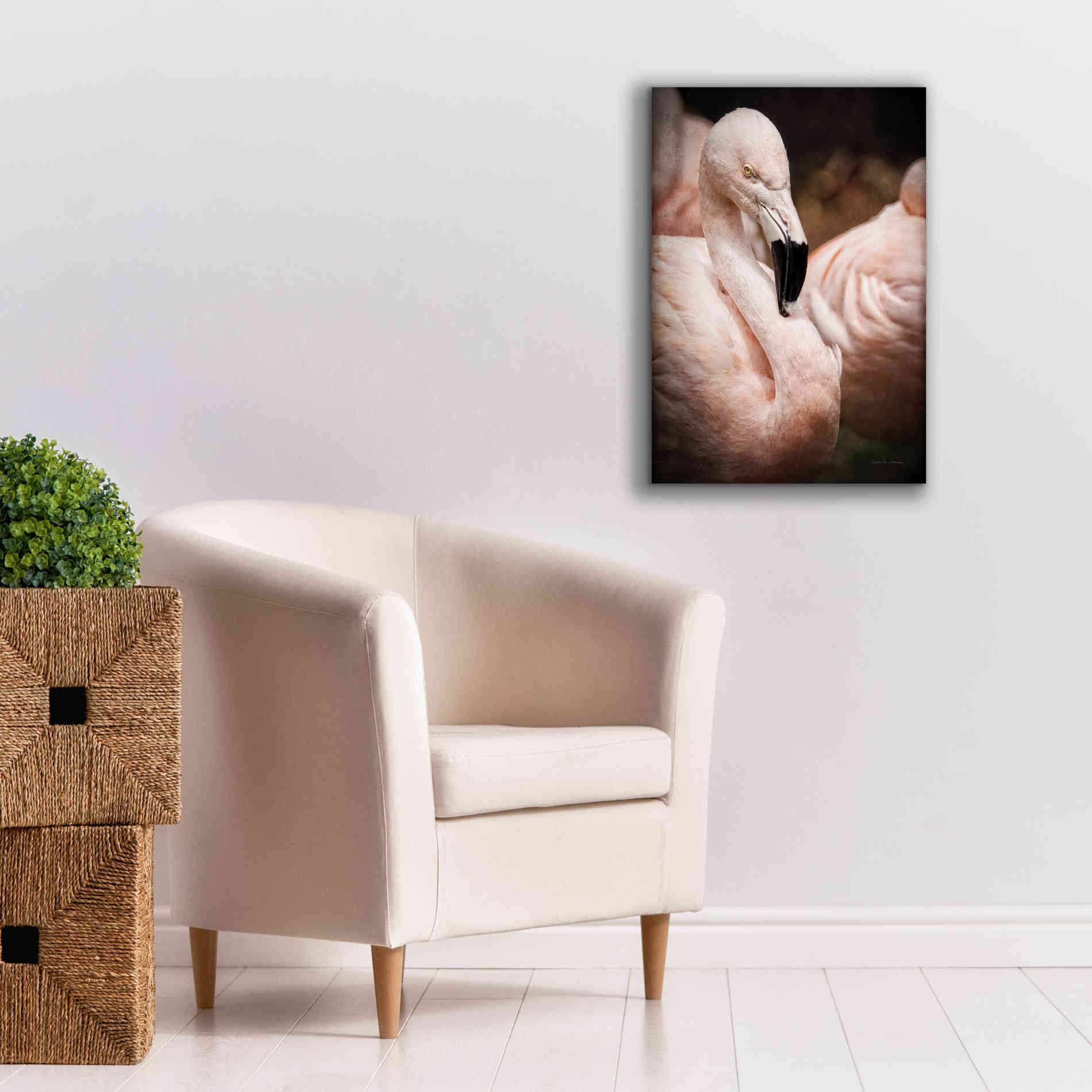 'Chilean Flamingo II' by Debra Van Swearingen, Canvas Wall Art,18 x 26