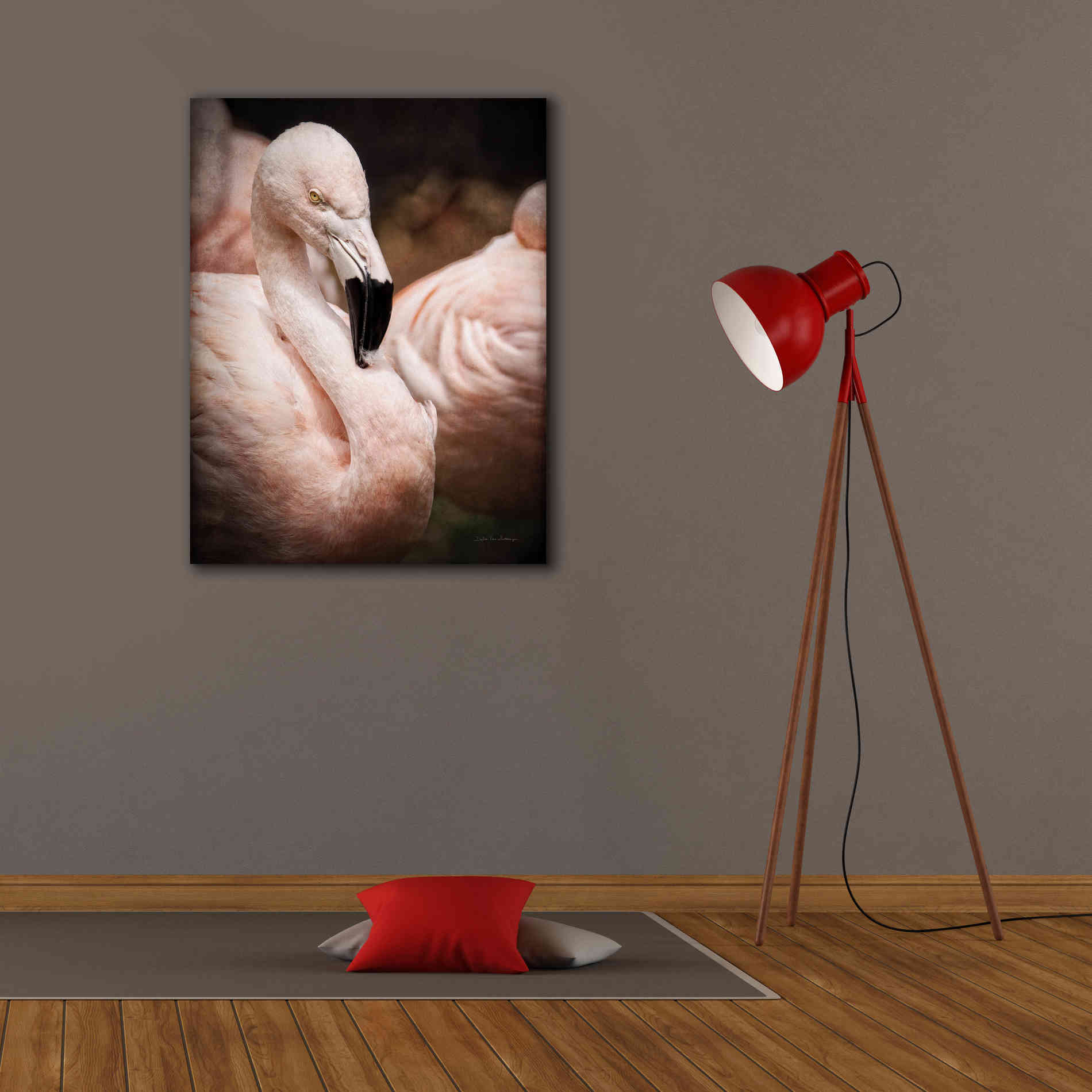 'Chilean Flamingo II' by Debra Van Swearingen, Canvas Wall Art,26 x 34