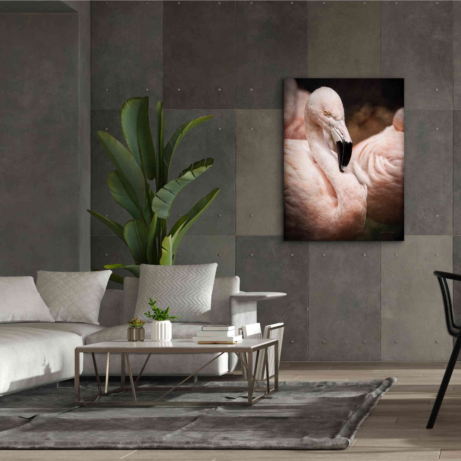 'Chilean Flamingo II' by Debra Van Swearingen, Canvas Wall Art,40 x 54