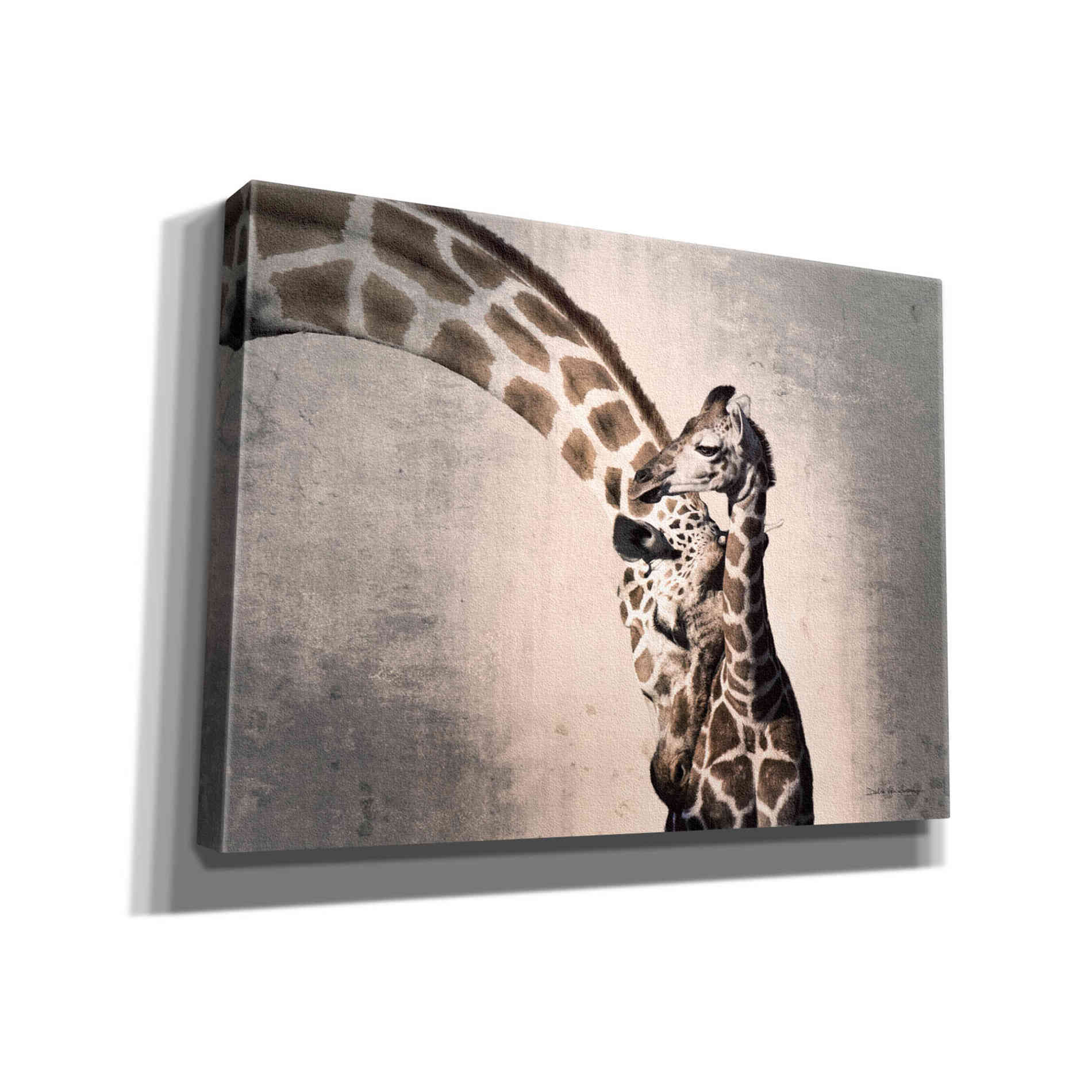 'Mother and Son' by Debra Van Swearingen, Canvas Wall Art,16x12x1.1x0,26x18x1.1x0,34x26x1.74x0,54x40x1.74x0