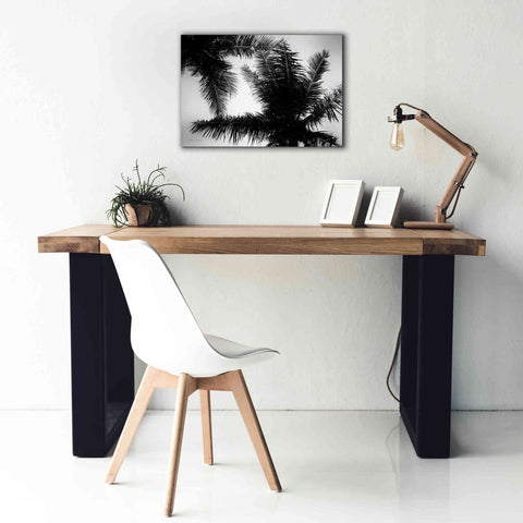 Image of 'Palm Tree Looking Up I' by Debra Van Swearingen, Canvas Wall Art,26 x 18