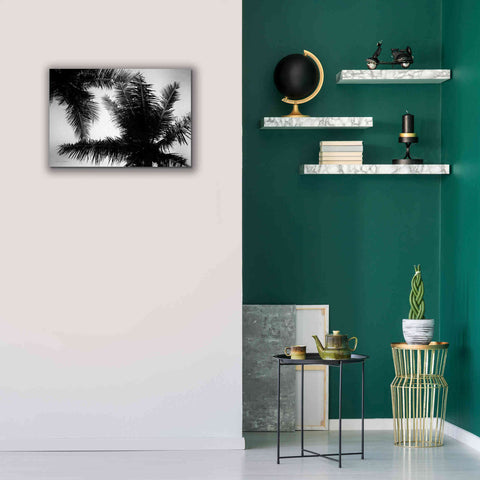 Image of 'Palm Tree Looking Up I' by Debra Van Swearingen, Canvas Wall Art,26 x 18