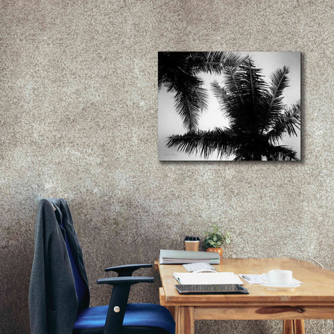 Image of 'Palm Tree Looking Up I' by Debra Van Swearingen, Canvas Wall Art,34 x 26