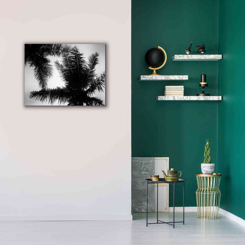Image of 'Palm Tree Looking Up I' by Debra Van Swearingen, Canvas Wall Art,34 x 26
