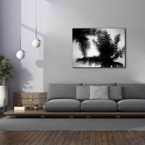 Image of 'Palm Tree Looking Up I' by Debra Van Swearingen, Canvas Wall Art,54 x 40