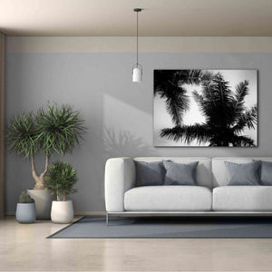'Palm Tree Looking Up I' by Debra Van Swearingen, Canvas Wall Art,54 x 40