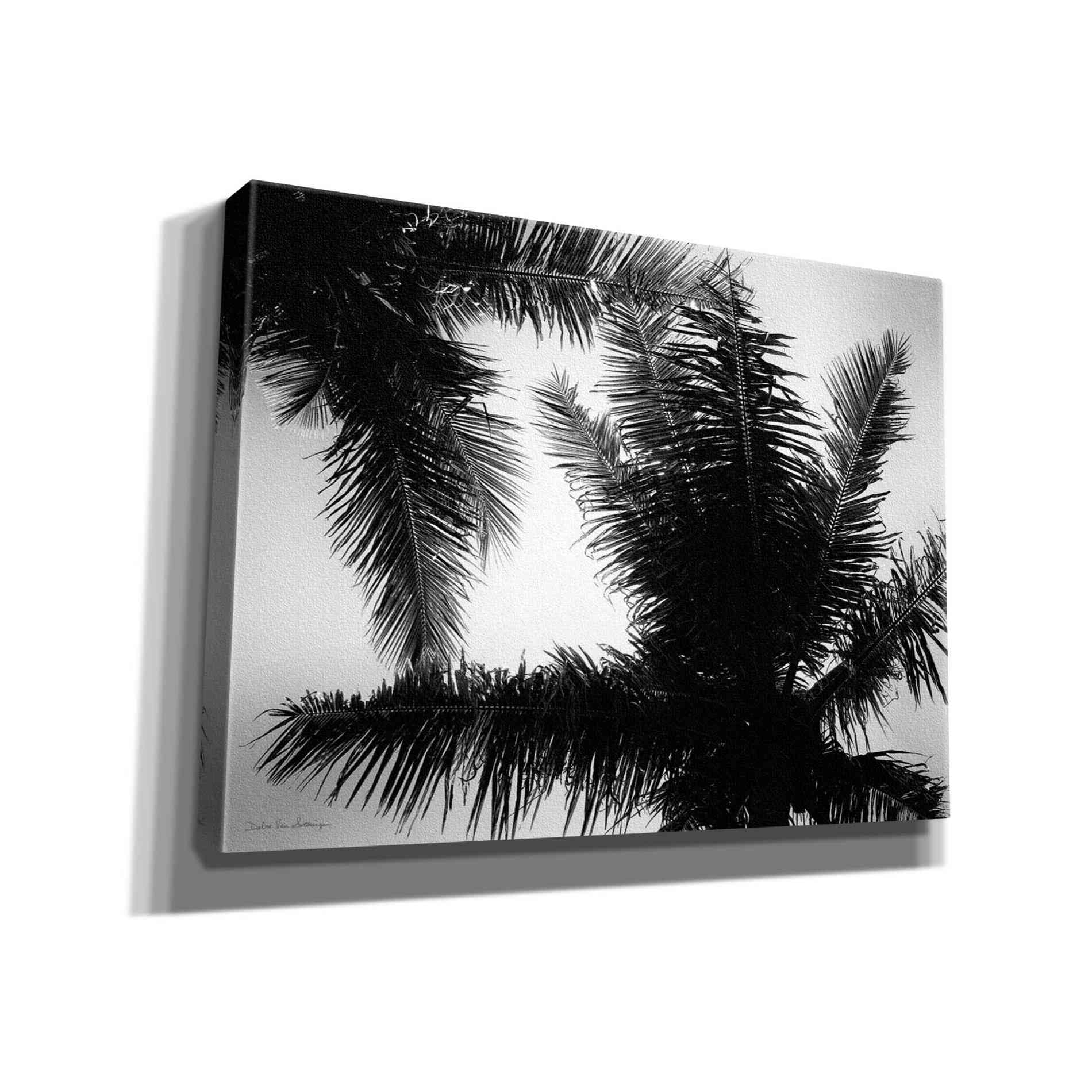 'Palm Tree Looking Up I' by Debra Van Swearingen, Canvas Wall Art,16x12x1.1x0,26x18x1.1x0,34x26x1.74x0,54x40x1.74x0
