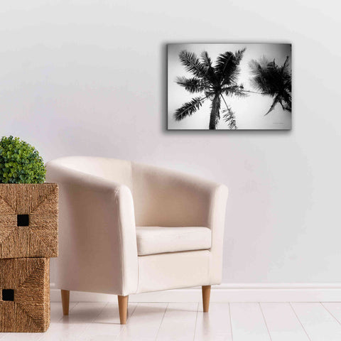 Image of 'Palm Tree Looking Up II' by Debra Van Swearingen, Canvas Wall Art,26 x 18