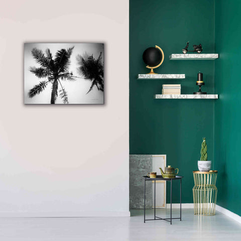 Image of 'Palm Tree Looking Up II' by Debra Van Swearingen, Canvas Wall Art,34 x 26