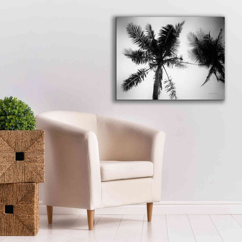 Image of 'Palm Tree Looking Up II' by Debra Van Swearingen, Canvas Wall Art,34 x 26