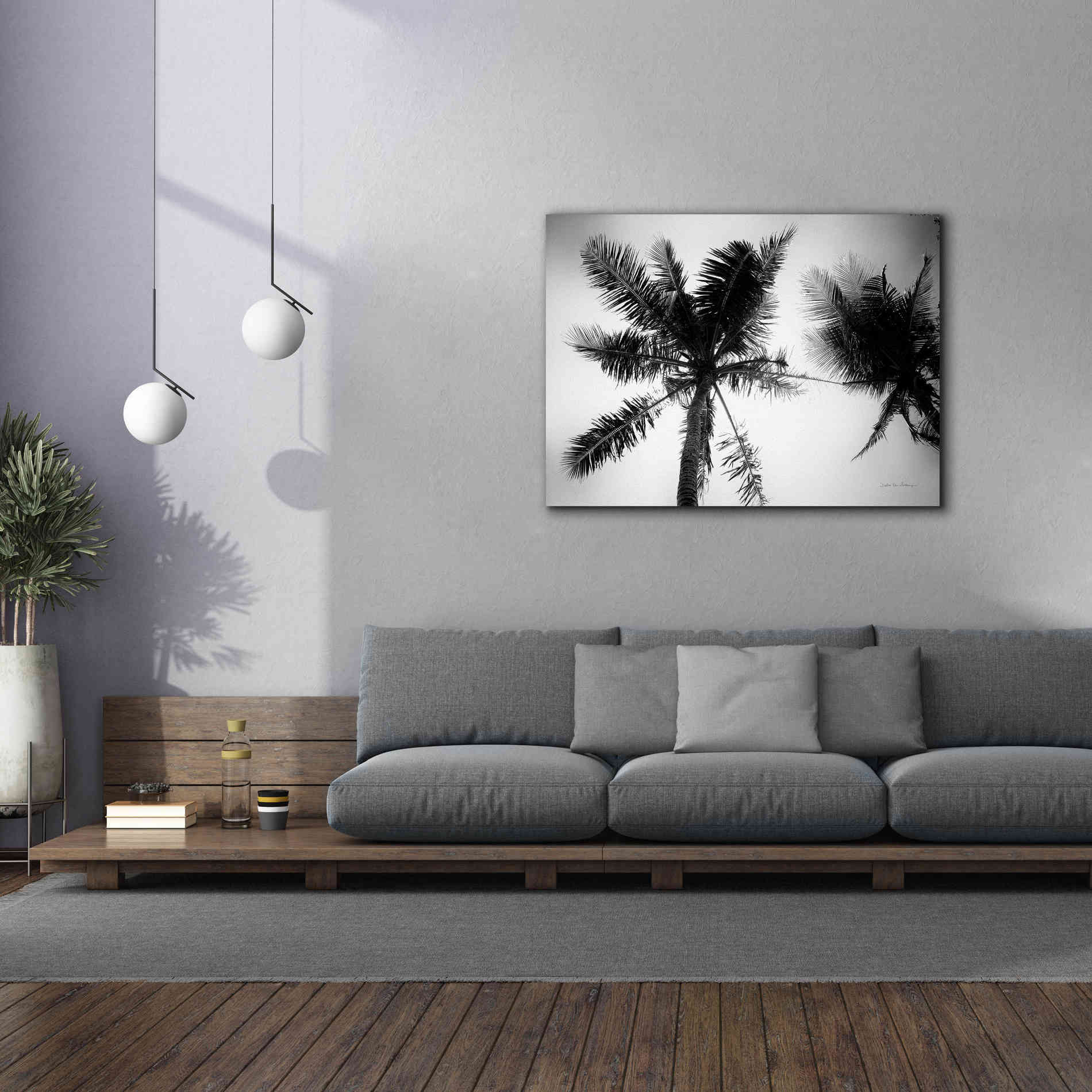 'Palm Tree Looking Up II' by Debra Van Swearingen, Canvas Wall Art,54 x 40