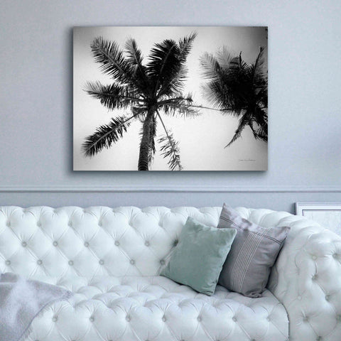 Image of 'Palm Tree Looking Up II' by Debra Van Swearingen, Canvas Wall Art,54 x 40