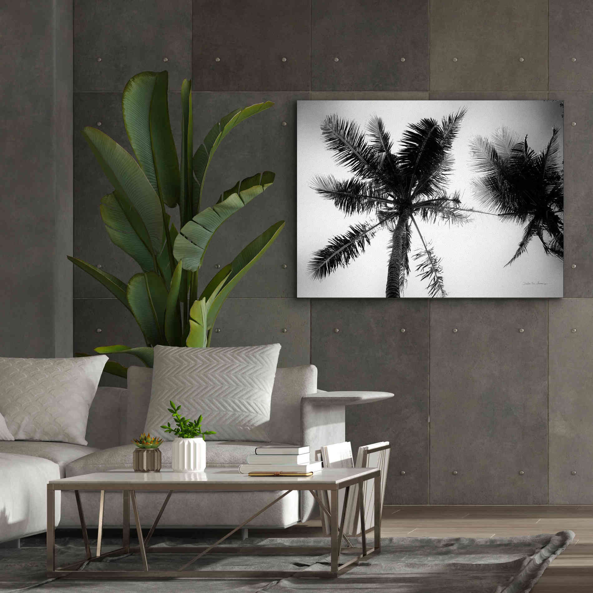 'Palm Tree Looking Up II' by Debra Van Swearingen, Canvas Wall Art,54 x 40
