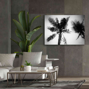 'Palm Tree Looking Up II' by Debra Van Swearingen, Canvas Wall Art,54 x 40