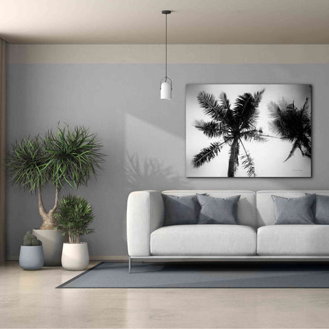 Image of 'Palm Tree Looking Up II' by Debra Van Swearingen, Canvas Wall Art,54 x 40