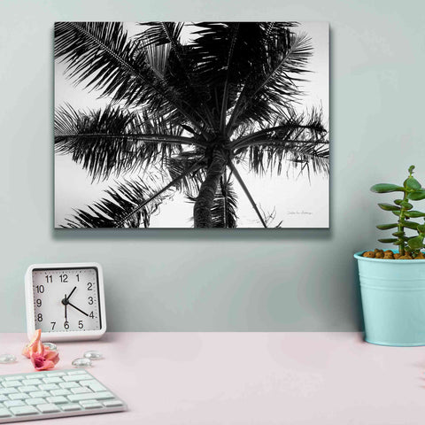 Image of 'Palm Tree Looking Up III' by Debra Van Swearingen, Canvas Wall Art,16 x 12