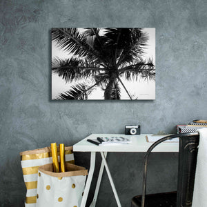 'Palm Tree Looking Up III' by Debra Van Swearingen, Canvas Wall Art,26 x 18