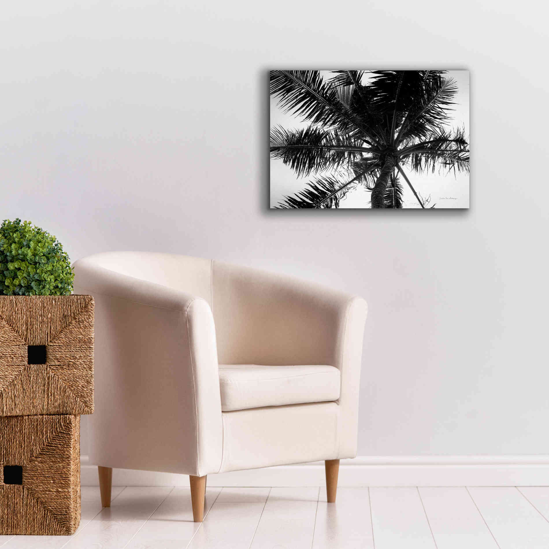'Palm Tree Looking Up III' by Debra Van Swearingen, Canvas Wall Art,26 x 18