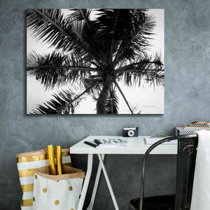 'Palm Tree Looking Up III' by Debra Van Swearingen, Canvas Wall Art,34 x 26