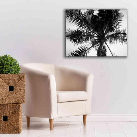 Image of 'Palm Tree Looking Up III' by Debra Van Swearingen, Canvas Wall Art,34 x 26