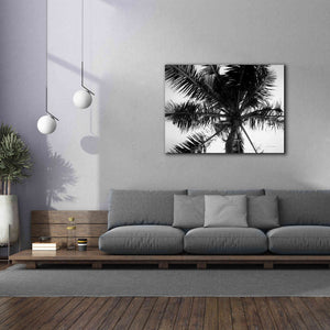 'Palm Tree Looking Up III' by Debra Van Swearingen, Canvas Wall Art,54 x 40
