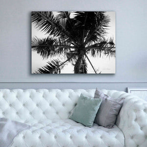 'Palm Tree Looking Up III' by Debra Van Swearingen, Canvas Wall Art,54 x 40