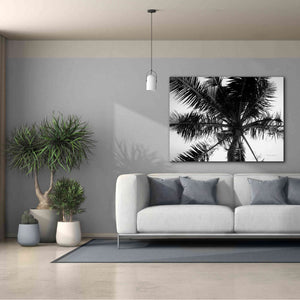 'Palm Tree Looking Up III' by Debra Van Swearingen, Canvas Wall Art,54 x 40