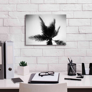 'Palm Tree Looking Up IV' by Debra Van Swearingen, Canvas Wall Art,16 x 12