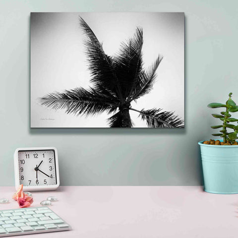 Image of 'Palm Tree Looking Up IV' by Debra Van Swearingen, Canvas Wall Art,16 x 12