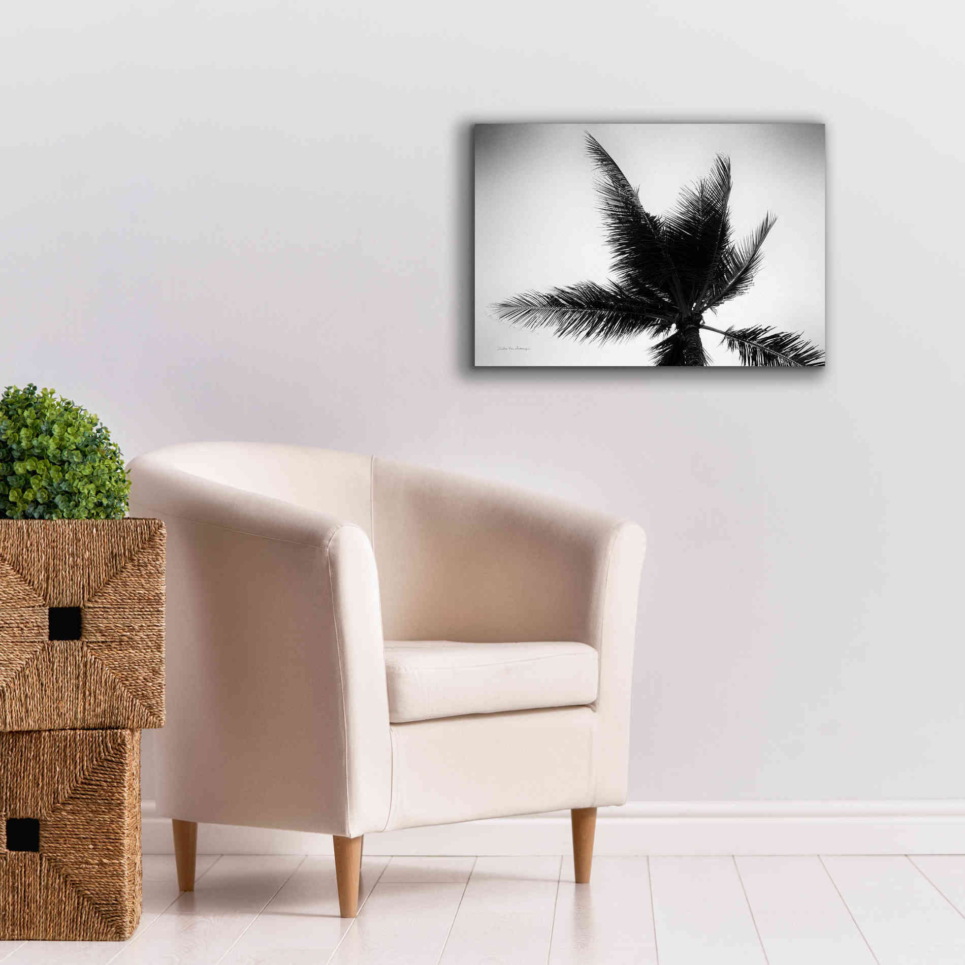 'Palm Tree Looking Up IV' by Debra Van Swearingen, Canvas Wall Art,26 x 18