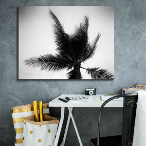'Palm Tree Looking Up IV' by Debra Van Swearingen, Canvas Wall Art,34 x 26