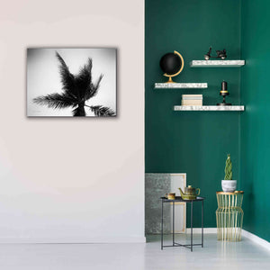 'Palm Tree Looking Up IV' by Debra Van Swearingen, Canvas Wall Art,34 x 26