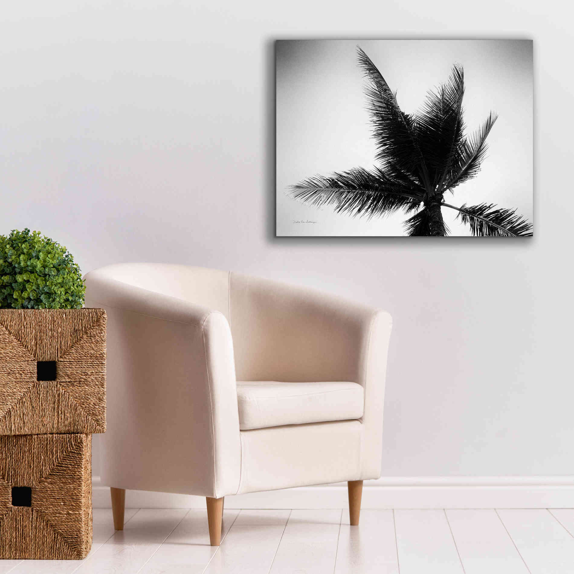 'Palm Tree Looking Up IV' by Debra Van Swearingen, Canvas Wall Art,34 x 26