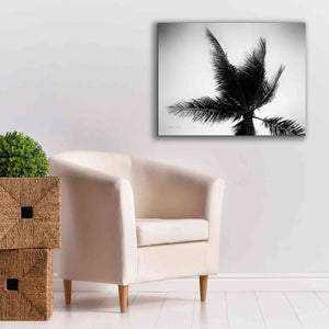 'Palm Tree Looking Up IV' by Debra Van Swearingen, Canvas Wall Art,34 x 26