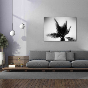 'Palm Tree Looking Up IV' by Debra Van Swearingen, Canvas Wall Art,54 x 40
