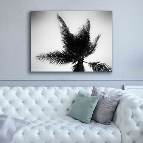 Image of 'Palm Tree Looking Up IV' by Debra Van Swearingen, Canvas Wall Art,54 x 40