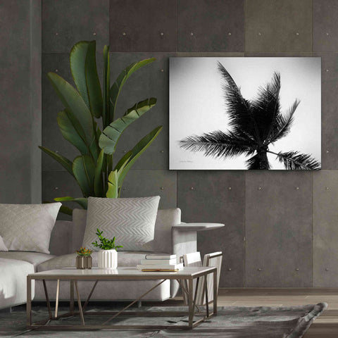 Image of 'Palm Tree Looking Up IV' by Debra Van Swearingen, Canvas Wall Art,54 x 40