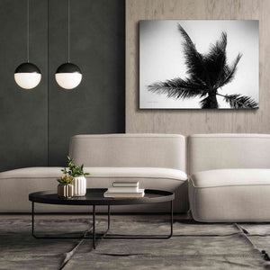 'Palm Tree Looking Up IV' by Debra Van Swearingen, Canvas Wall Art,54 x 40