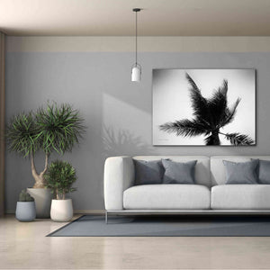 'Palm Tree Looking Up IV' by Debra Van Swearingen, Canvas Wall Art,54 x 40