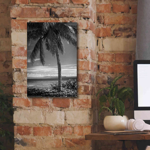 Image of 'Ocean View' by Debra Van Swearingen, Canvas Wall Art,12 x 18