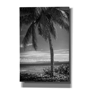 'Ocean View' by Debra Van Swearingen, Canvas Wall Art,12x18x1.1x0,18x26x1.1x0,26x40x1.74x0,40x60x1.74x0