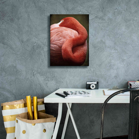 Image of 'Caribbean Flamingo I' by Debra Van Swearingen, Canvas Wall Art,12 x 16
