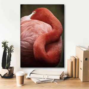 'Caribbean Flamingo I' by Debra Van Swearingen, Canvas Wall Art,18 x 26