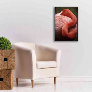 'Caribbean Flamingo I' by Debra Van Swearingen, Canvas Wall Art,18 x 26