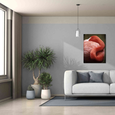 Image of 'Caribbean Flamingo I' by Debra Van Swearingen, Canvas Wall Art,26 x 34