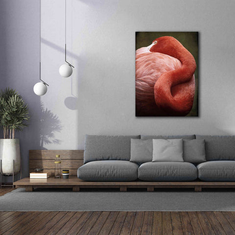 Image of 'Caribbean Flamingo I' by Debra Van Swearingen, Canvas Wall Art,40 x 54
