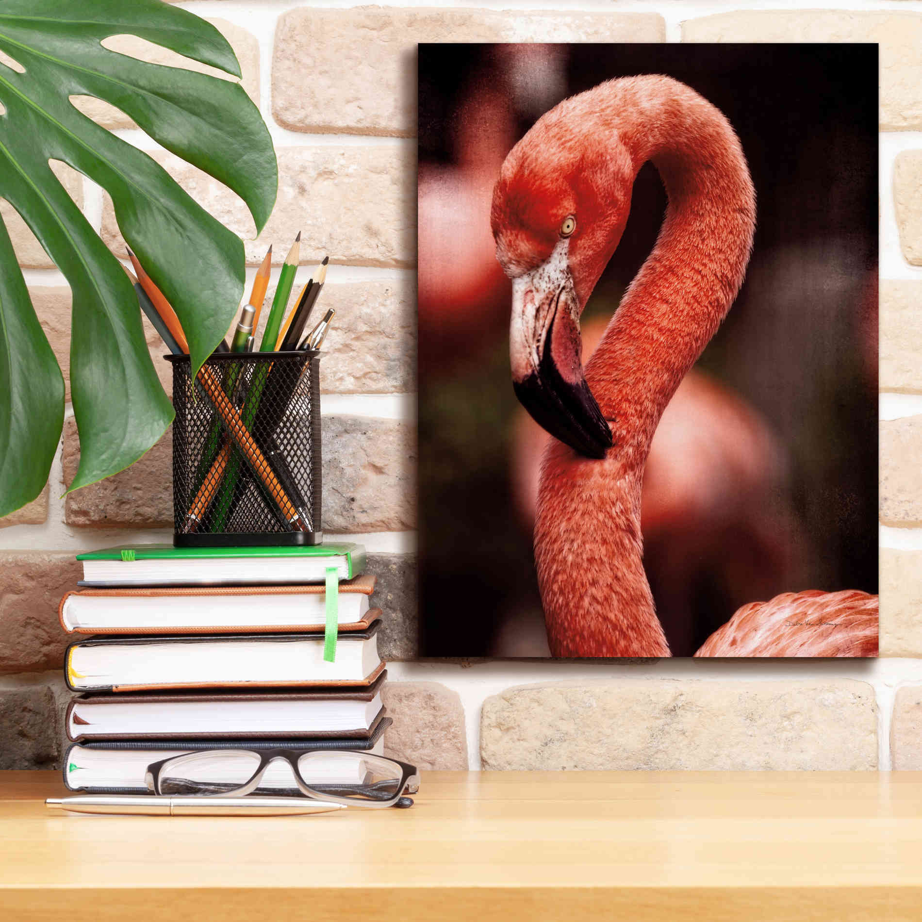 'Caribbean Flamingo II' by Debra Van Swearingen, Canvas Wall Art,12 x 16