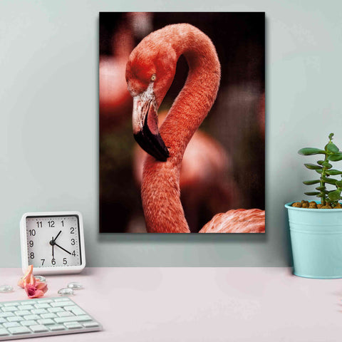Image of 'Caribbean Flamingo II' by Debra Van Swearingen, Canvas Wall Art,12 x 16