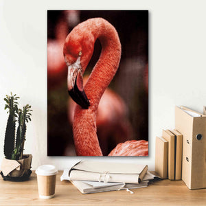 'Caribbean Flamingo II' by Debra Van Swearingen, Canvas Wall Art,18 x 26